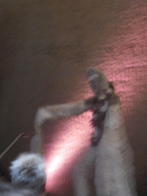 A blurry photo of a figure in an alien-looking outfit with sleeves forming long, dangling tracts of patterned fabric.