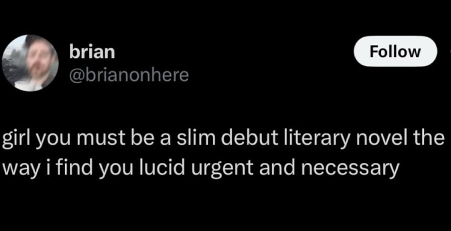 Twitter screenshot. @brianonhere: girl you must be a slim debut literary novel the way i find you lucid urgent and necessary