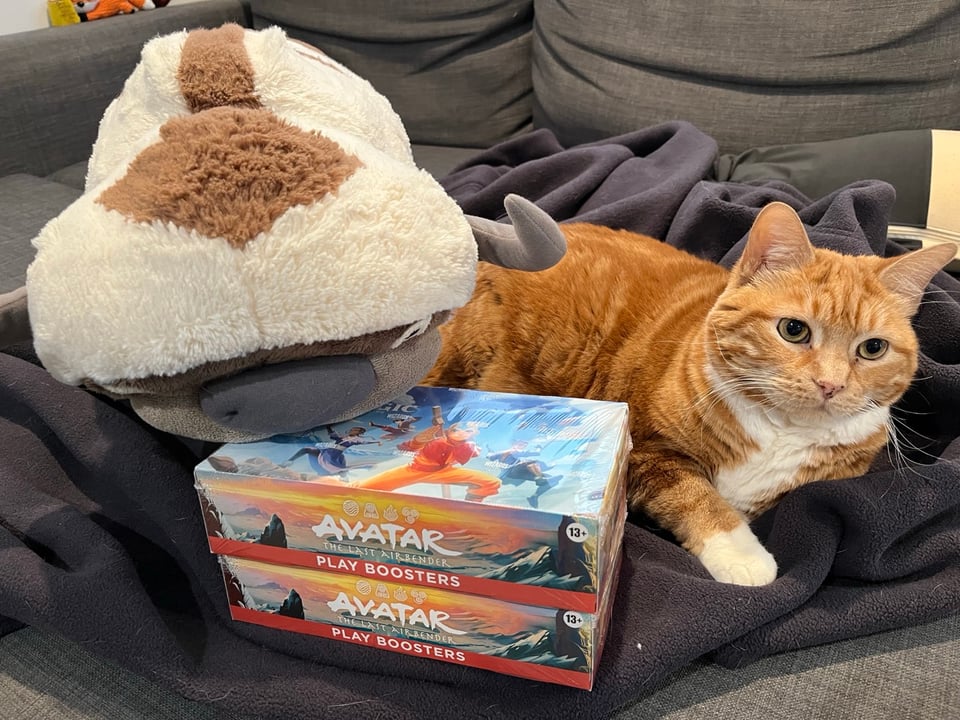 Peach, an orange tabby cat, sits next to a big plush of Appa and two boxes of Avatar Magic: The Gathering cards.