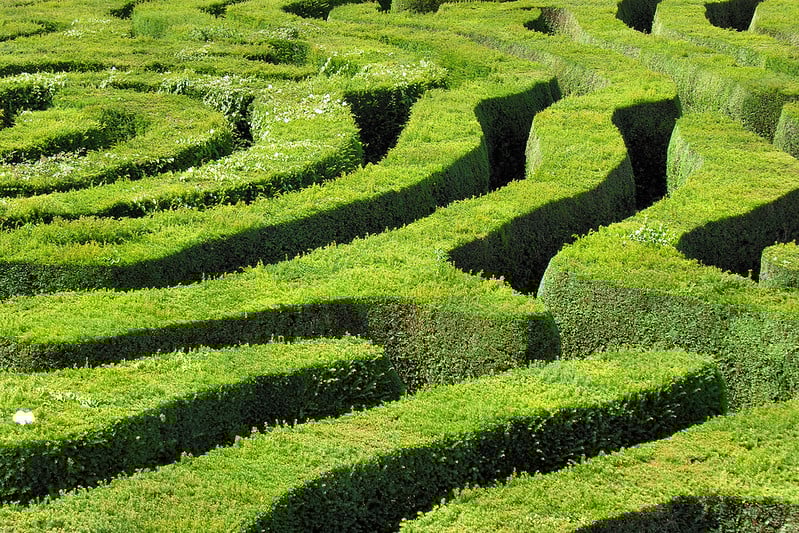 Hedge maze