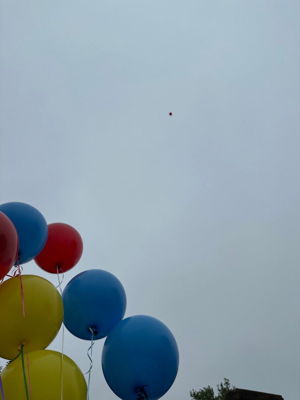 Looking past some balloons in the sky as one flies away. I’m SO SORRY SEA TURTLES