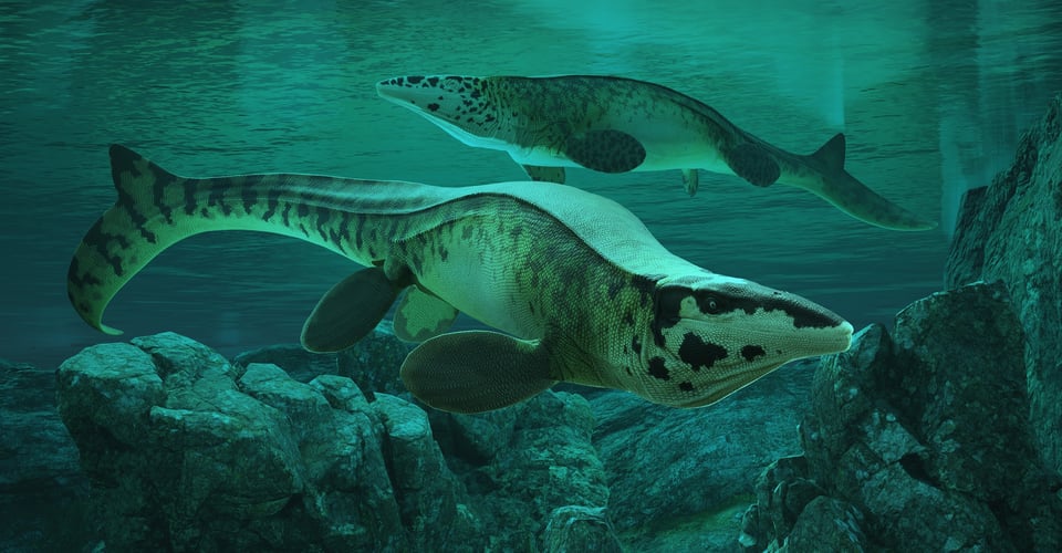 An image of the large Tylosaurus rex in the Path of the Titans game, seeming green under the water.