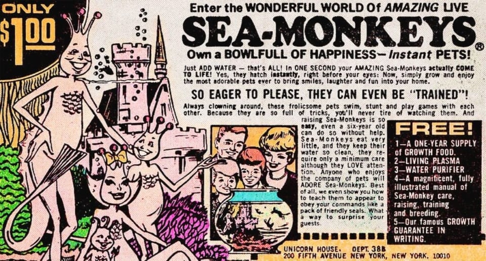 It's the comic book ad for Sea Monkeys. Image of psychotic brine shrimp family and even more psychotic white Mormon family watching the brine shrimp family in a fishbowl.