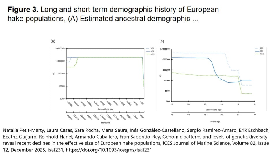 la figure de gauche (a) montre la stabilité des populations de merlus pendant des millénaires. La figure de droite (b) montre l'effondrement récent de ces populations, au cours des dernières décennies, avec une division par un facteur 100 des effectifs (deux ordres de grandeur). Tirets bleus  pour les merlus de la Mer du Nord (ATN), pointillés verts pour les merlus de la Méditerranée (MED), ligne pleine bleue pour les merlus de Gallice (ATS).