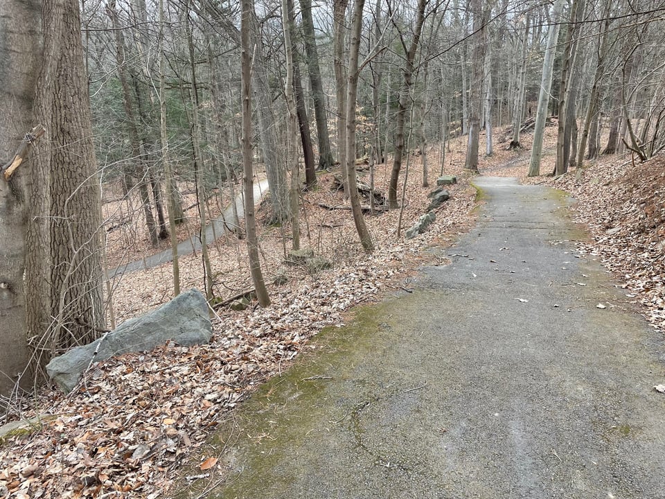 A steep paved path, surrounded by trees, with a hairpin turn halfway down, seen on a cloudy day in early spring.