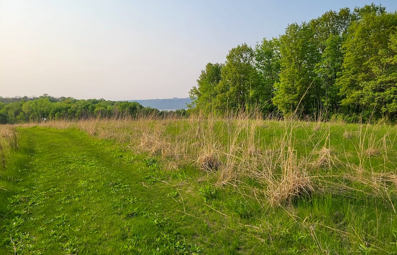 Rattlesnake Bluff on a steamy summer evening. To reach the trailhead to this remote, diverse and beautiful trail, drive northwest on Hill Avenue from Goodhue County Blvd. 2 (just south of the park entrance road) and watch for the second brown state park sign on your right, about 3 1/2 miles in. / Photo by Pamela Miller