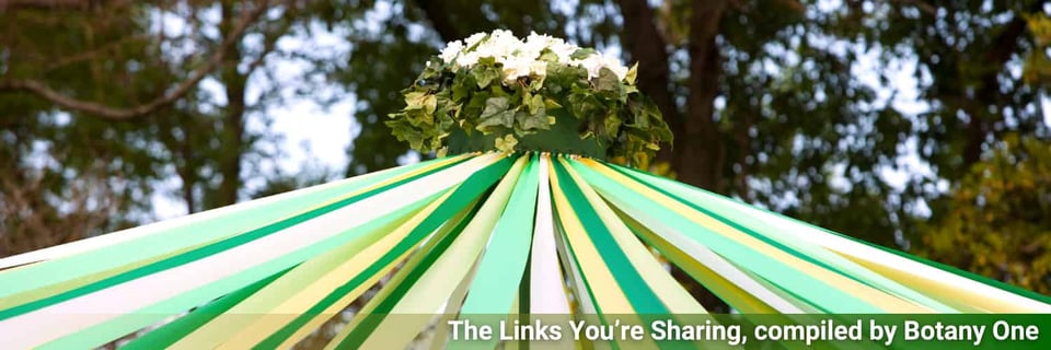 An image of the top of a maypole with a wreath for May Day.