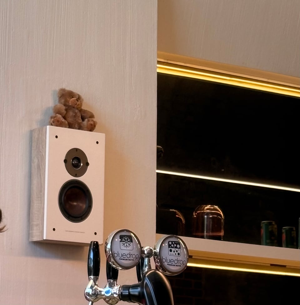 A small brown stuffed bear sits on top of a speaker hitched on a cream wall behind the bar.