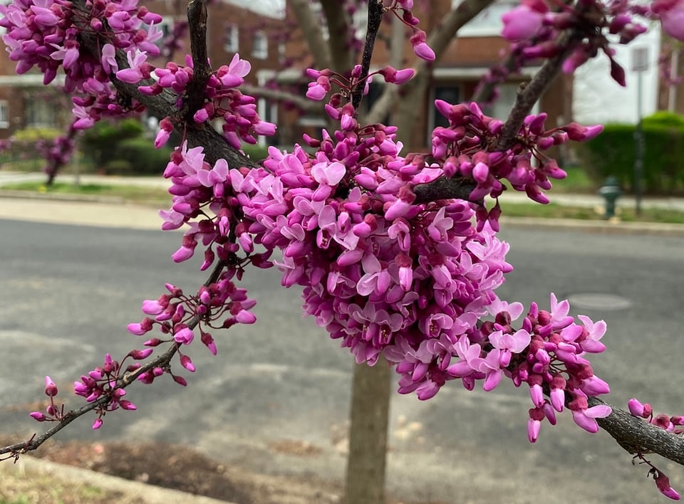 The stories I didn't write this year