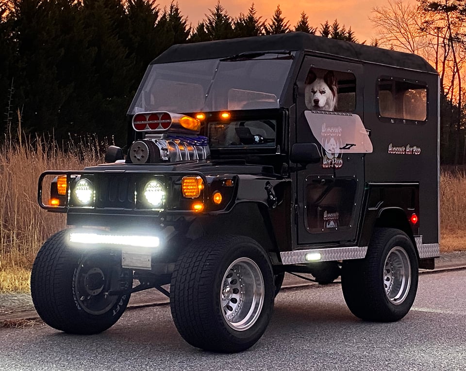 Golf cart with a winter enclosure sits on a road with a large white dog looking out the driver side window.