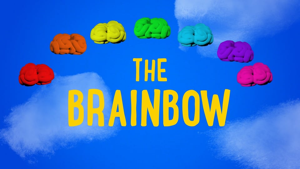 The Brainbow - film thumbnail showing a rainbow of cartoon brains against a bright blue sky