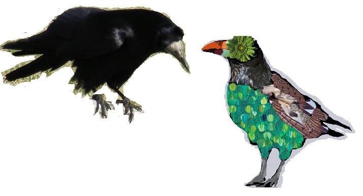 Rook & Raven logo