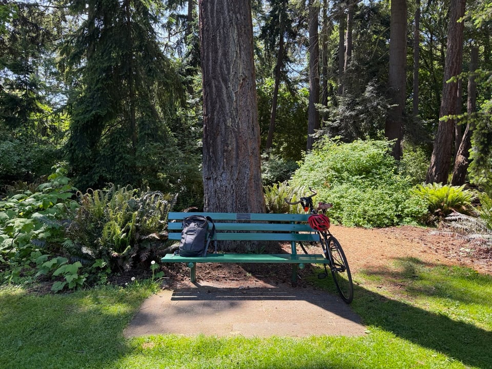 park bench under a tree, showing backpack and bike