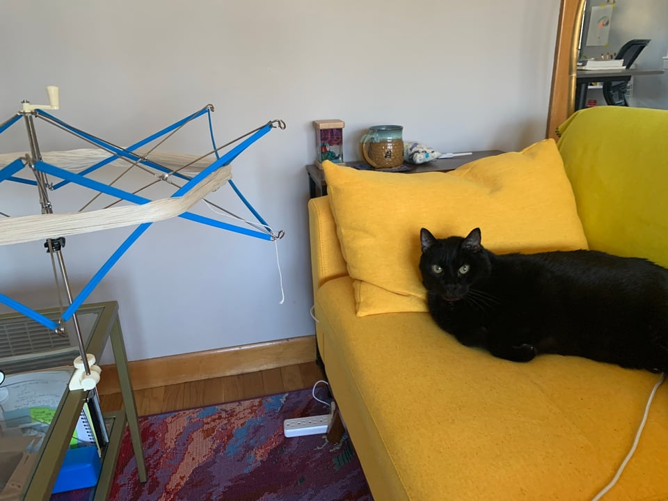 cute cat Titan sitting on the couch. a yarn swift full of string is clamped to the table next to him.