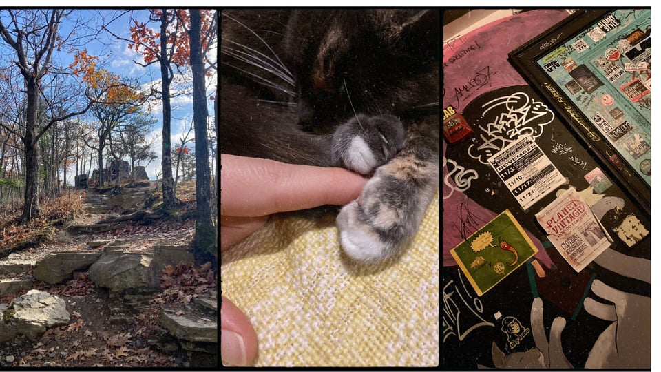 a photo grid with three pictures. L-R: a hill with rock formations and a few last-leaf trees; a human finger held between two cat paws; a venue bathroom covered in stickers and fliers.