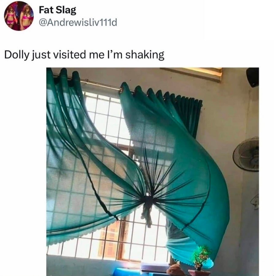 Twitter post from @andrewisliv111d
Dolly just visited me I'm shaking
[below is a photo of two sheer green curtains that are tied together, being caught by the wind to form a massive pair of ghostly breasts.]