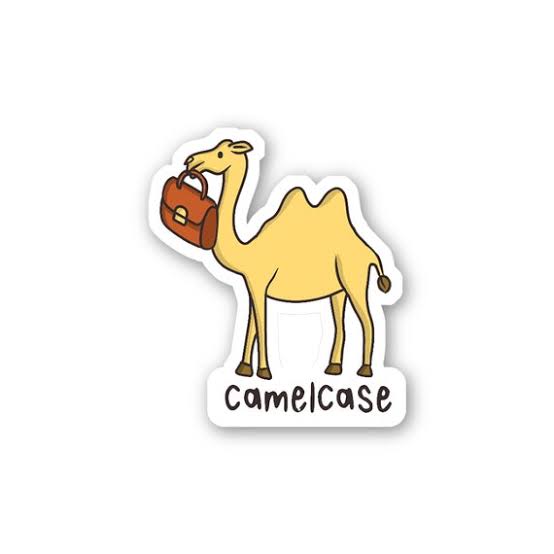 meme about camel case