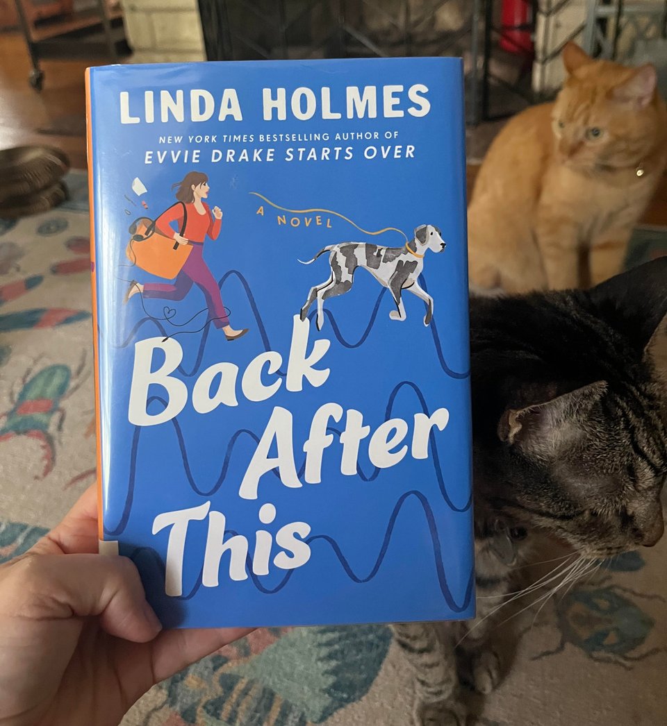 A hardcover library book is posed in front of two tabby cats and a patterned rug.