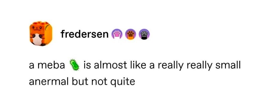 tumblr screenshot from fredersen

a meba [amoeba emoji] is almost like a really really small anermal but not quite