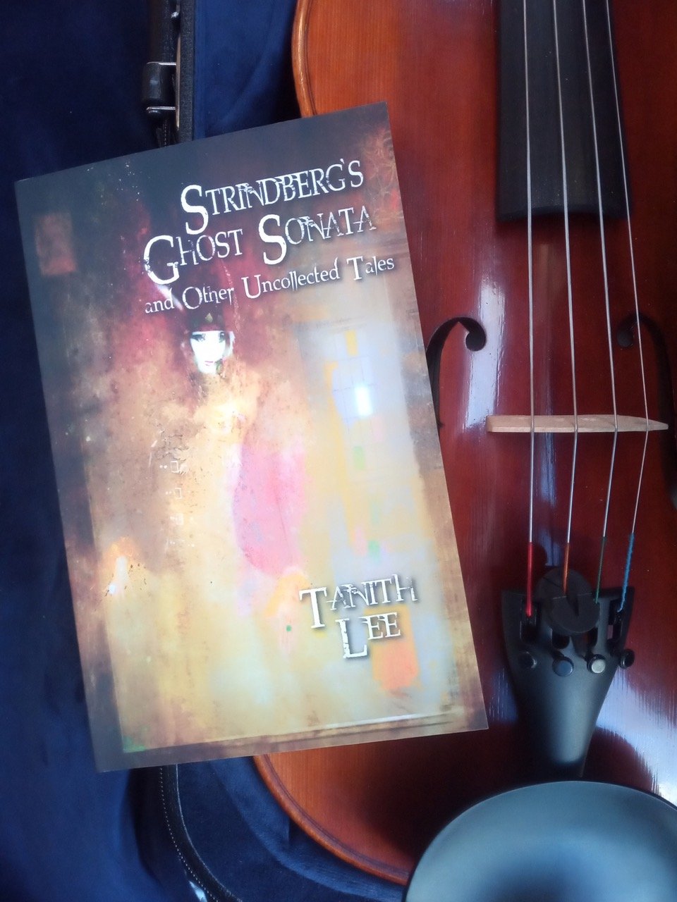The book, which has an impressionist image of a woman on it, next to a viola, on a blue velvet background.