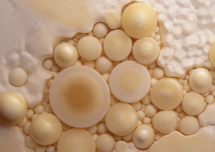 🤪 Wacky Wednesday for 2025-02-12