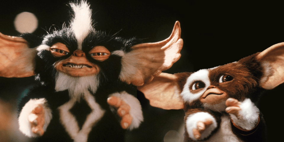 Two mogwai - one who looks evil, one who looks a bit like my dog, Radio.