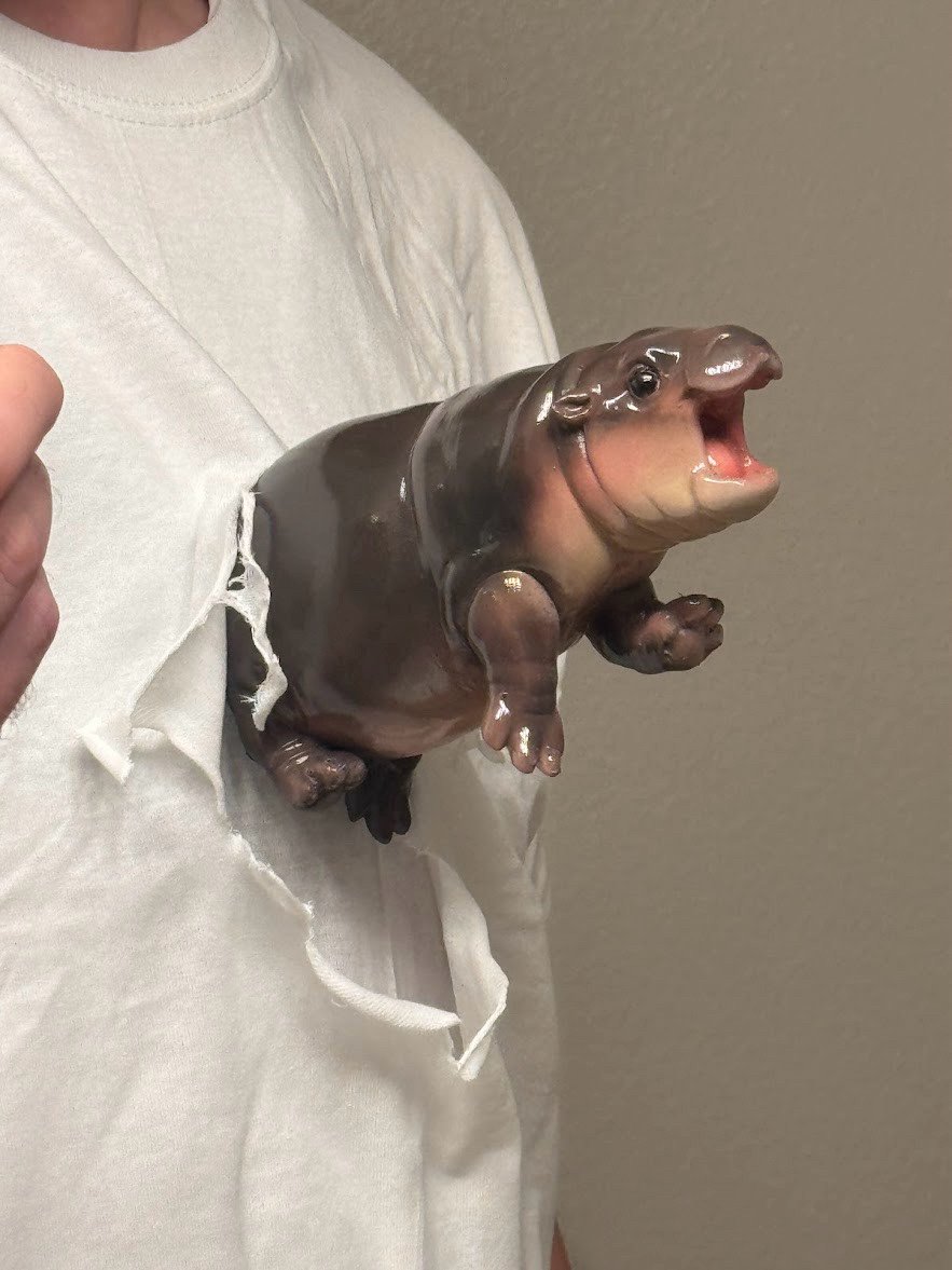 The popular baby hippo Moo Deng bursts from someone's chest like the alien in the Alien movie