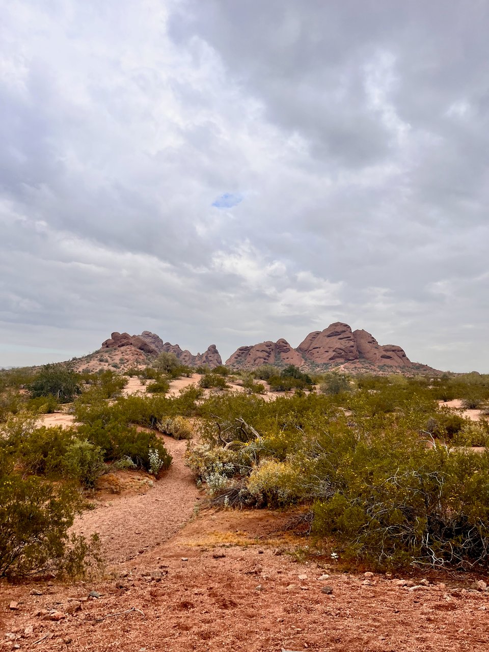 The Papago Mountain range in Phoenix, AZ, with green desert brush and a path leading up to it