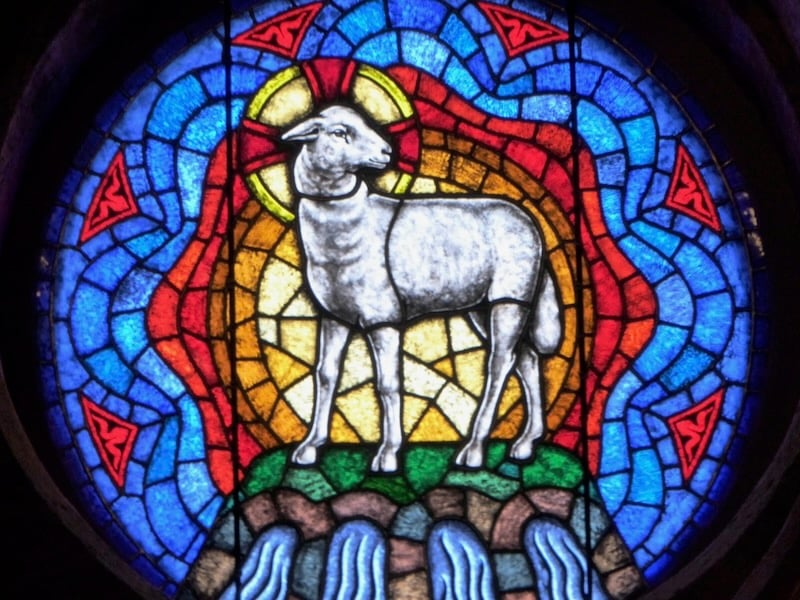 Jesus Doesn't Need Our Weapons