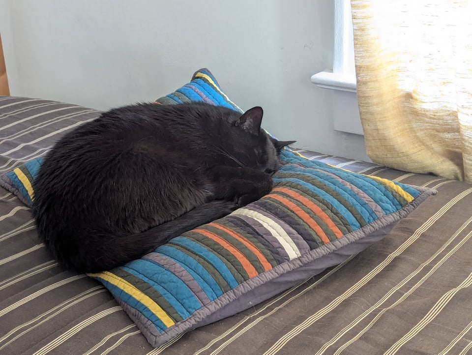 A black cat snoozing on a striped pillow
