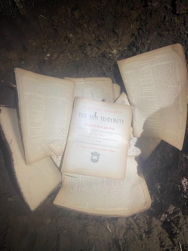 Pages from an old, long-forgotten Bible will nourish this tree for years to come.