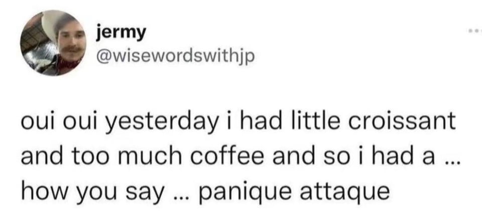 oui oui yesterday i had a little croissant and too much coffee and so i had a ... how you say ... panique attaque