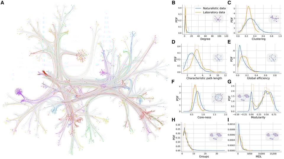 An image from the side of a paper mentioned in this blog post. It is a network map showing a colorful, thick set of lines connecting dozens of different nodes together; the resulting image looks rather like in a brain.