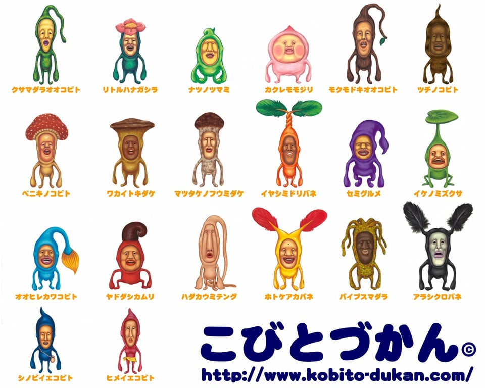 kobitozukan.jpg