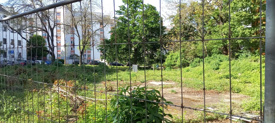 photograph of an empty lot in my area. The Sun is shining and there's now noticably more green visible. There even are some smaller shrubs that have started growing since last Month.