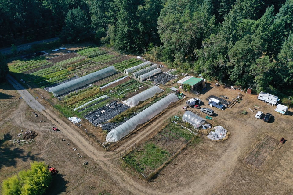 Tian Tian Farm 2023 drone shot