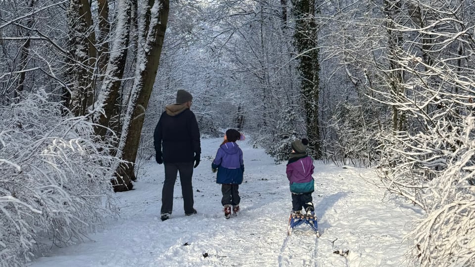 Ich gehe mit meinen Kindern durch einen verschneiten Wald