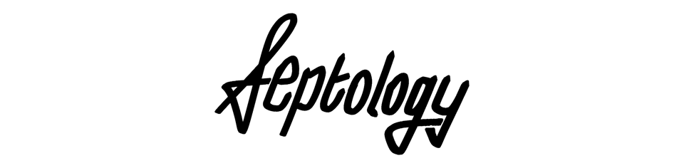 Septology header image for Momentum