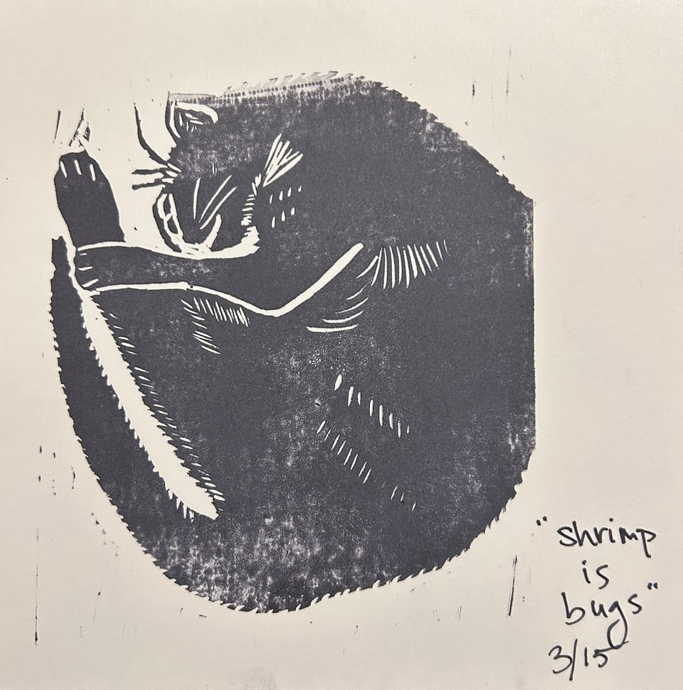 A slightly improved linocut print of a cat curled up like a shrimp. The title in the corner says "shrimp is bugs" and dated 3/15.