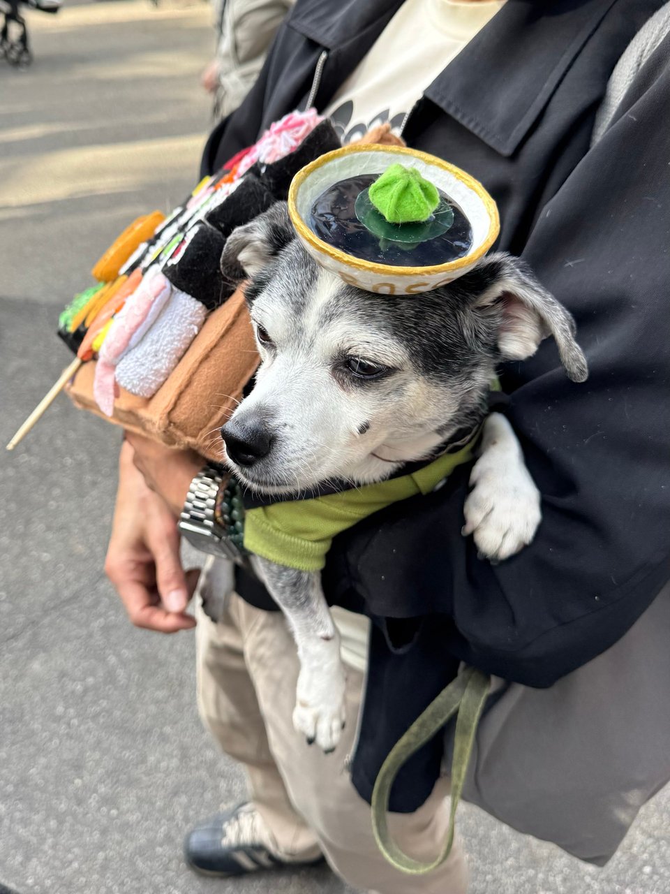 The doggy is also wearing a paper mache soup bowl hat.