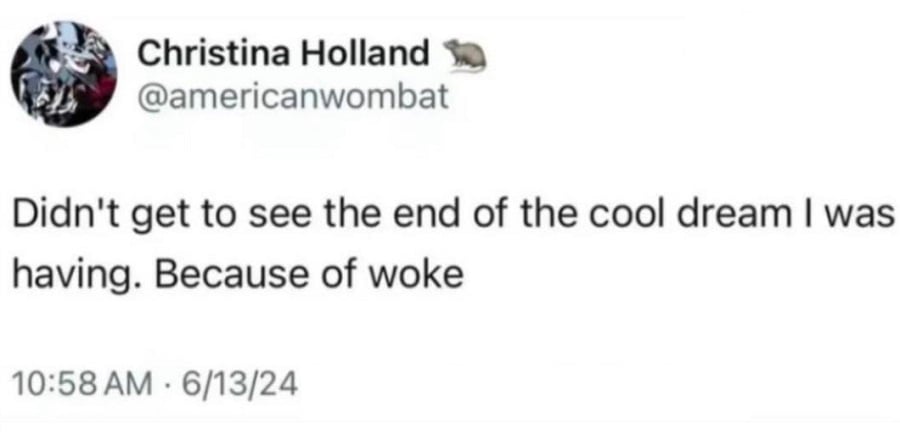Twitter screenshot.
@americanwombay: Didn't get to see the end of the cool dream I was having. Because of woke