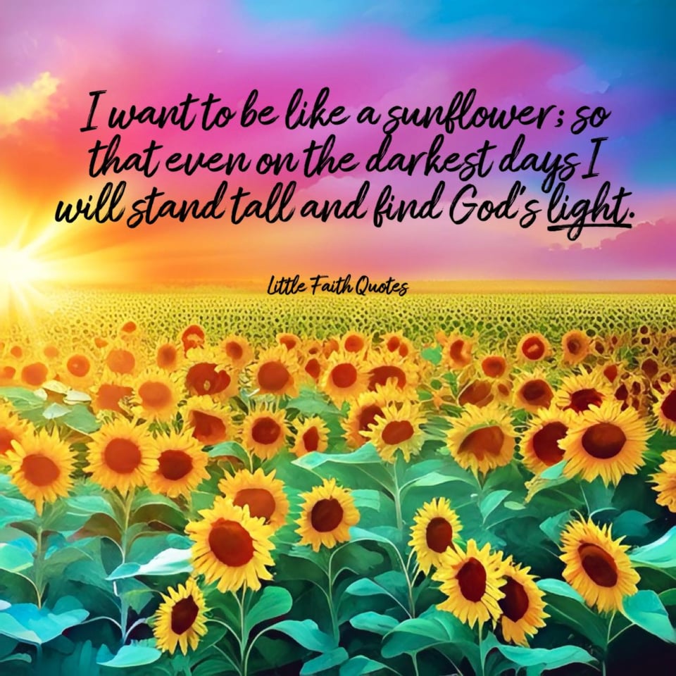 "I want to be like a sunflower; so that even on the darkest days I will stand tall and find God's light." A field of sunflowers stretches out under a beautiful pink, orange, violet, yellow, and blue sky. The sun sets over the horizon. Image by: @Little Faith Quotes.