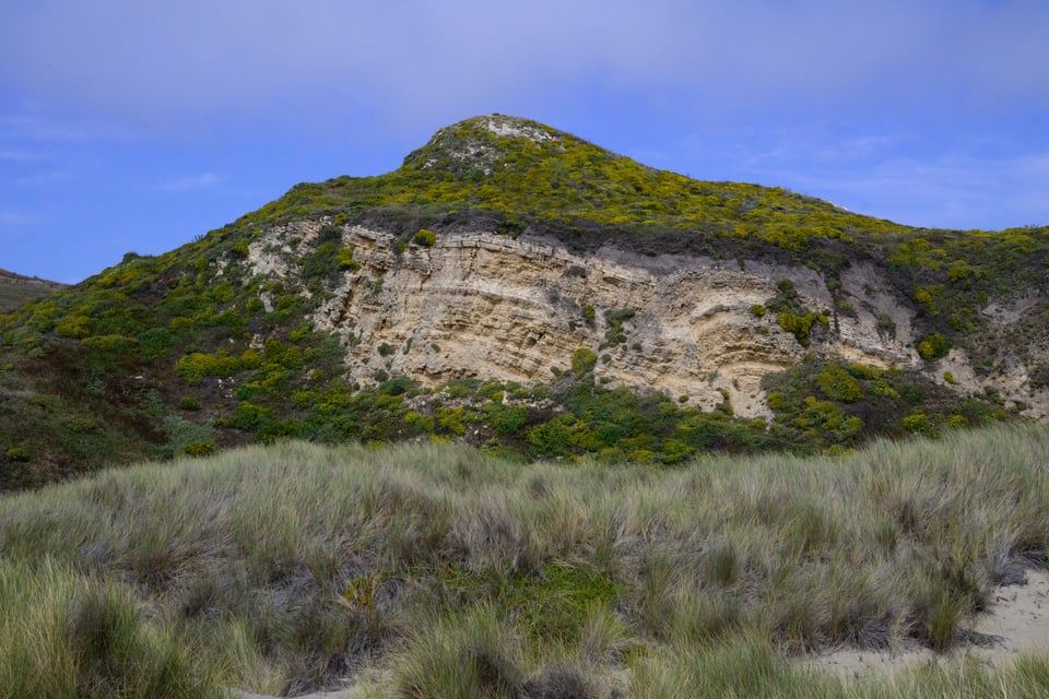 A big hill under a blue sky, with one face of exposed sand where the hill has collapsed.