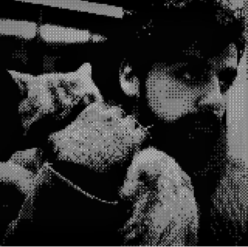 A scene from Inside Llewyn Davis where the title character, played by Oscar Isaac, sits in a subway train holding a cat. The image is monochrome and pixelated like a gameboy game.