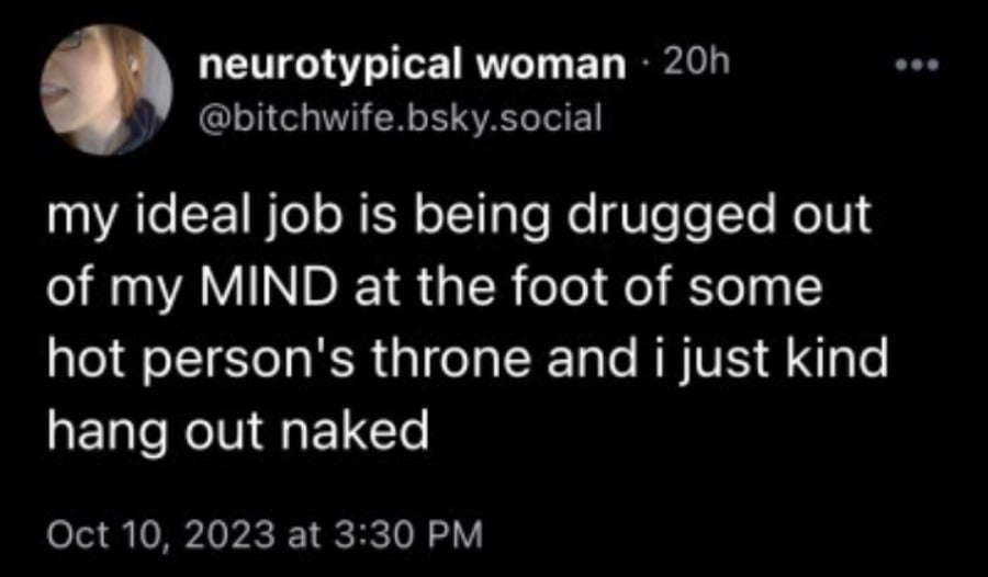 Bluesky screenshot. @bitchwife.bsky.social: my ideal job is being drugged out of my MIND at the foot of some hot person's throne and i just kind of hang out naked