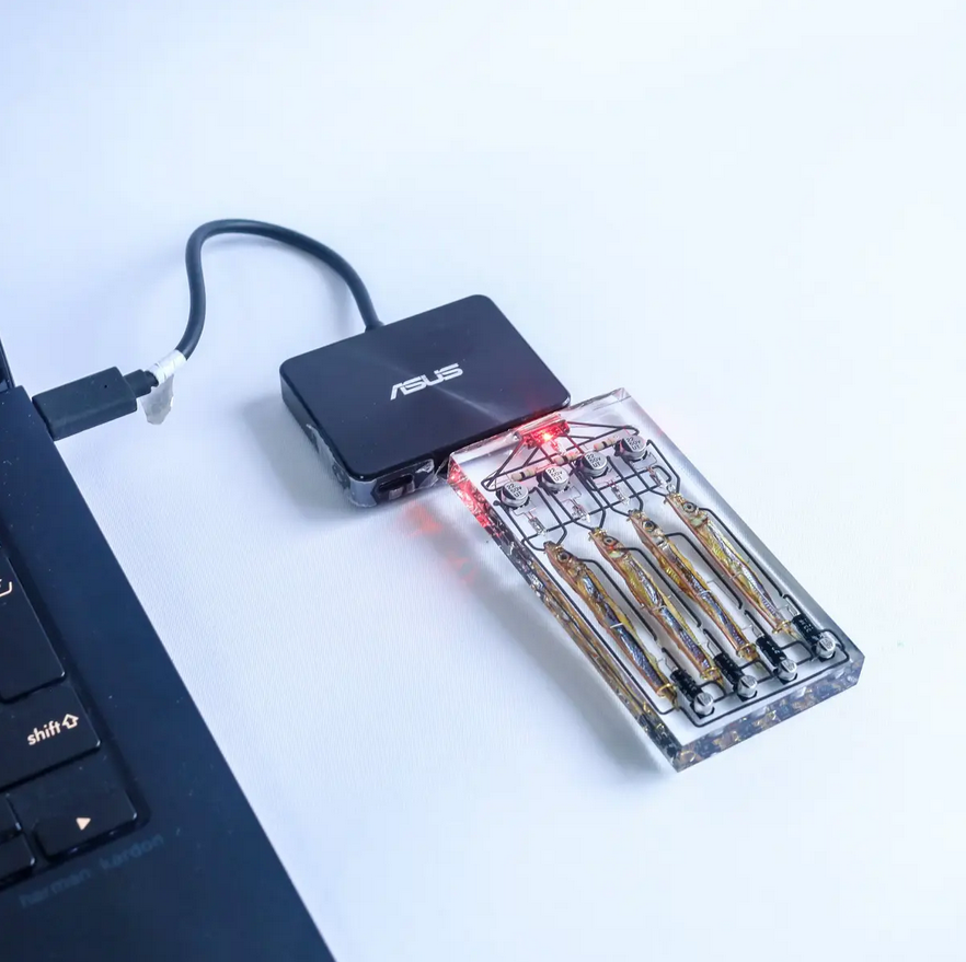 a laptop with a fish-battery attached to it