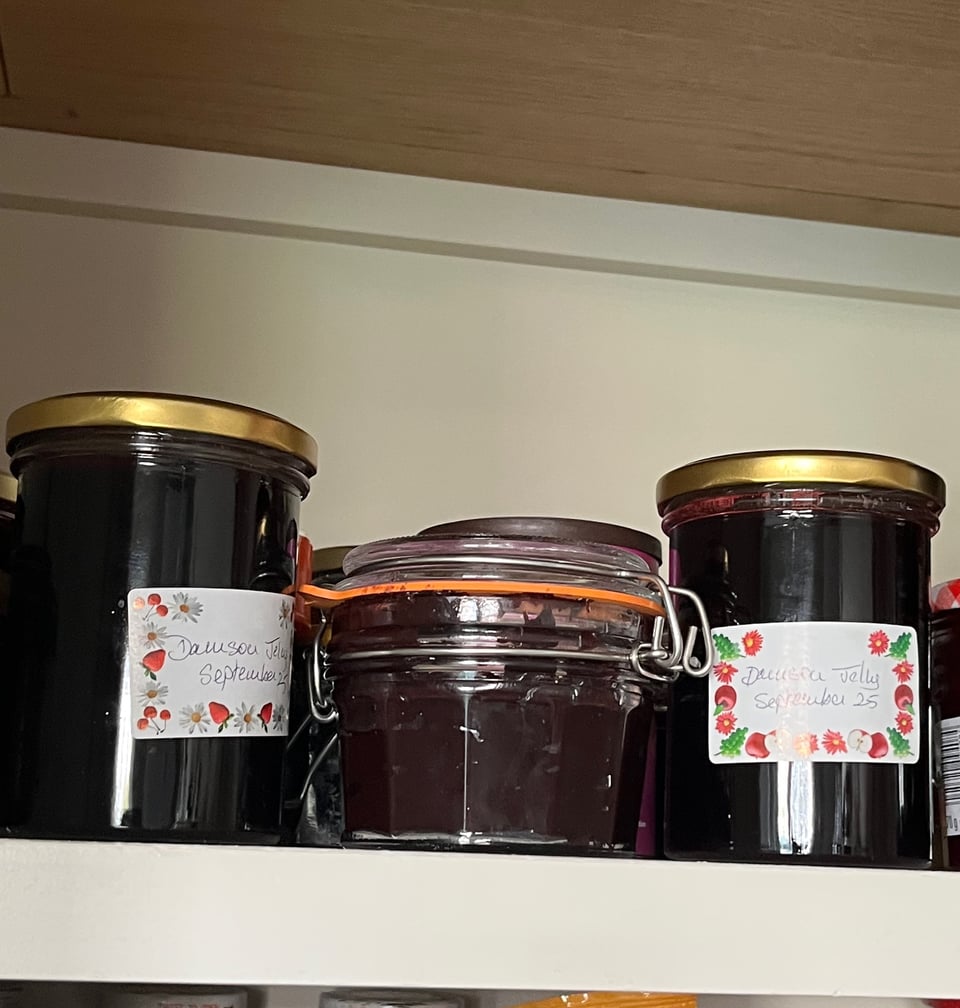 a shelf with two pots of damson jelly and one half pot, centre of damson cheese