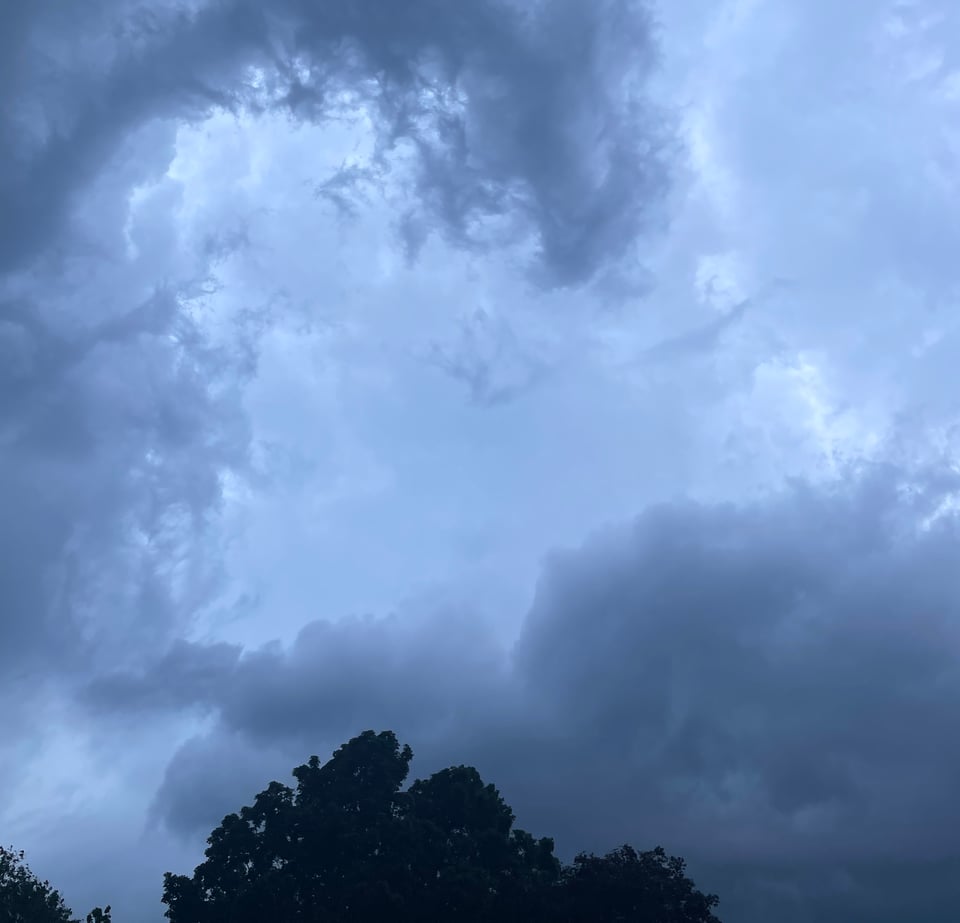 Dark clouds above trees
