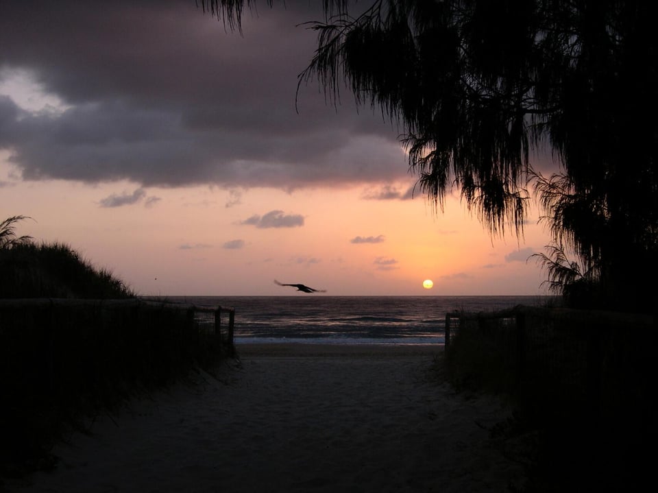 A tranquil beach scene at sunrise, with the sun glowing on the horizon and a bird flying over the water.