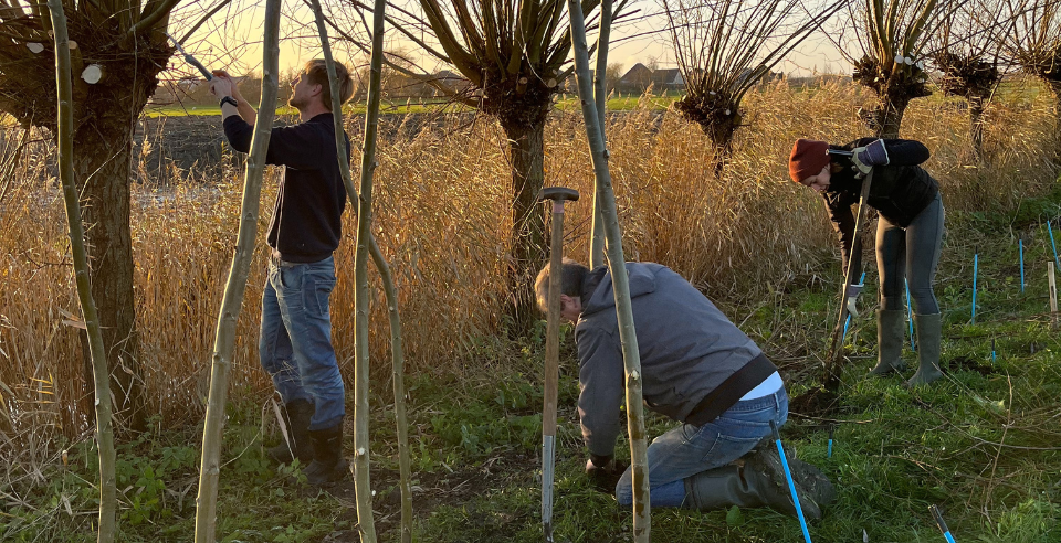 meewerkdag op onze plek
